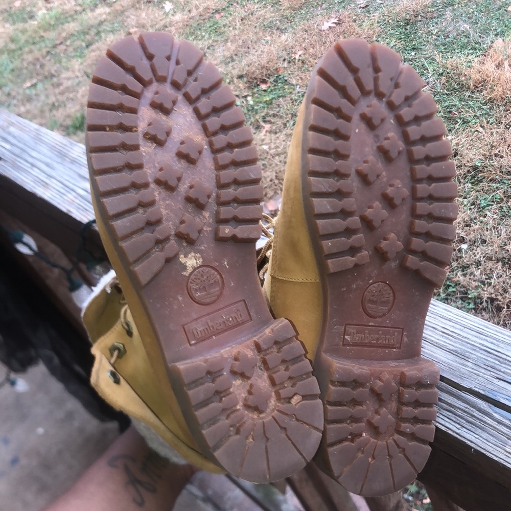 Timberlands - Picture 7 of 7